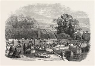 THE PALMHOUSE, KEW GARDENS, LONDON, UK, 1859
