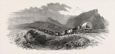 CAPE WAGGON, SOUTH AFRICA, 1850