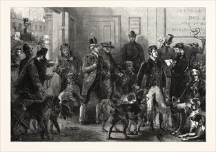 THE INTERNATIONAL DOG SHOW AT ISLINGTON: ARRIVAL OF DOGS, LONDON, UK, 1865