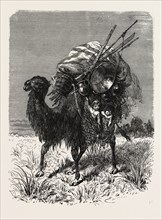 A MONGOL CAMEL ON THE MARCH