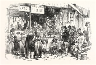 Franco-Prussian War: On the market of St. Germain. At the dogs and cats butcher. Fresh rats, 1