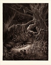 THE FORESTS ON THE BANKS OF THE MISSISSIPPI, BY Gustave Doré. Dore, 1832 - 1883, French. Engraving