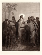 JESUS AND HIS DISCIPLES IN THE CORN FIELD, BY Gustave Doré. Gustave Dore, 1832 - 1883, French.