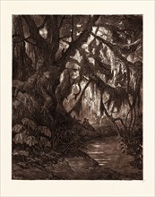 THE REST IN THE FOREST, BY GUSTAVE DORE. Gustave Dore, 1832 - 1883, French. Engraving for Atala by