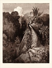 THE PEACOCK COMPLAINING TO JUNO, BY Gustave Doré. Dore, 1832 - 1883, French. Engraving for Fables