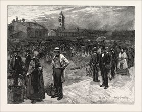 MARKET DAY, HAMILTON, CANADA, NINETEENTH CENTURY ENGRAVING