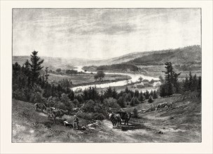 JUNCTION OF THE NASHWAAK AND TAY, CANADA, NINETEENTH CENTURY ENGRAVING