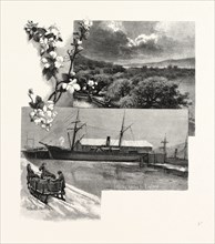 NOVA SCOTIA, IN THE ANNAPOLIS VALLEY, CANADA, NINETEENTH CENTURY ENGRAVING