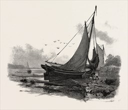FRENCH CANADIAN LIFE, LOADING A BATTEAU AT LOW TIDE, CANADA, NINETEENTH CENTURY ENGRAVING