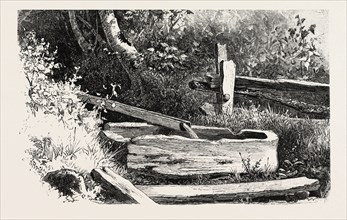 FRENCH CANADIAN LIFE, WAYSIDE WATERING TROUGH, CANADA, NINETEENTH CENTURY ENGRAVING