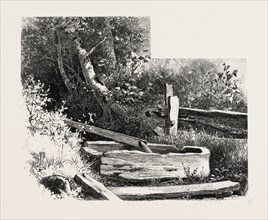 FRENCH CANADIAN LIFE,, WAYSIDE WATERING TROUGH, CANADA, NINETEENTH CENTURY ENGRAVING