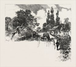 FRENCH CANADIAN LIFE, AN OLD ORCHARD, CANADA, NINETEENTH CENTURY ENGRAVING