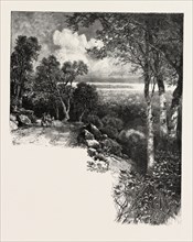 MONTREAL DRIVE, CANADA, NINETEENTH CENTURY ENGRAVING