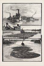 GLIMPSES OF THE LOWER OTTAWA, THE LUMBER TRADE, CANADA, NINETEENTH CENTURY ENGRAVING