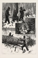 CHOPPING AND SAWING, LUMBERING, CANADA, NINETEENTH CENTURY ENGRAVING