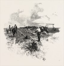 MANITOBA, THE HARVESTERS, CANADA, NINETEENTH CENTURY ENGRAVING