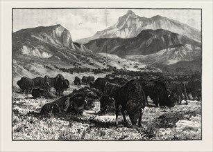 AT THE FOOTHILLS OF THE ROCKY MOUNTAINS, CANADA, NINETEENTH CENTURY ENGRAVING