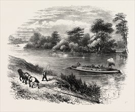 Magna Charta Island, in the river Thames, England, UK, britain, british, europe, united kingdom,