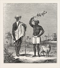 THE SHEEP-EATER OF HINDOSTAN: THE SHEEP-EATER AND HIS GURW, INDIA. Or Indostan, literally "land of