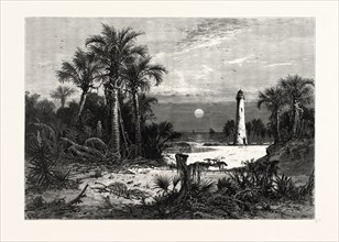 MOONRISE ON THE COAST OF FLORIDA. J.D. WOODWARD