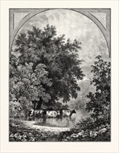 UNDER THE ELMS. A.F. BUNNER