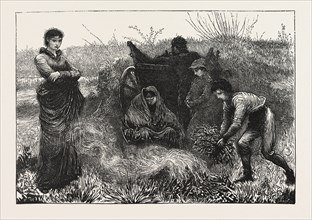 AN AUTUMN EVENING, DRAWN BY THE LATE F. WALKER, ENGRAVING 1876, UK, britain, british, europe,