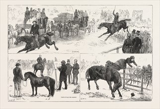 ALEXANDRA PALACE HORSE SHOW, ENGRAVING 1876, UK, britain, british, europe, united kingdom, great
