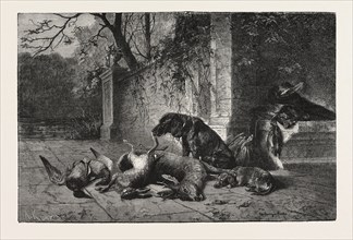 AFTER THE HUNT, DOGS, DEER, HARE, DUCKS, ENGRAVING 1876