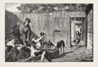 FOX HUNTING, BREAKFAST TIME AT THE KENNELS, HUNT, ENGRAVING 1876, UK, britain, british, europe,