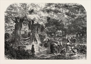 GATHERING ACORNS, 1868