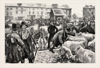 A CATTLE FAIR, COUNTY GALWAY IRELAND, 1888 engraving