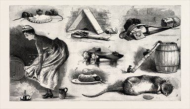 THE RAT PLAGUE IN THE COUNTRY, 3. La Grippe, engraving 1890