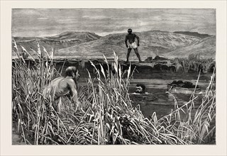 CONFIRMATION MORNING, KAFFIR LAND, HIS LORDSHIP IS ACROSS, engraving 1890