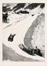 TOBOGGANING AT ST. MORITZ, ENGADINE, SWITZERLAND, SLED, BOBSLEIGH, engraving 1890