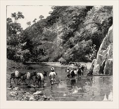 THE CHIN LUSHAI EXPEDITIONARY FORCE, A MULE CONVOY CROSSING THE LOUNG GUT CHOUNG STREAM, engraving