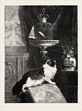 A LONGING LOOK, PICTURE BY HENRIETTE RONNER, engraving 1890, engraved image, history, arkheia,