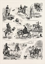 THE ADVENTURES OF TWO RUNAWAY HORSES, AND WHAT CAME OF IT, engraving 1890, engraved image, history,