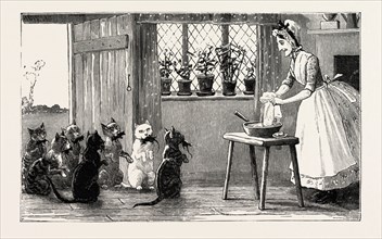 cats and mice, engraving 1890, engraved image, history, arkheia, illustrative technique,