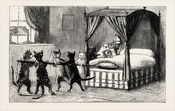 The Dame was unabe her pleasure to smother. Cats heating the bed, engraving 1890, engraved image,