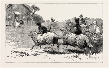 The farmer soon heard where his sheep went astray, And arrived at Dame's door, with his faithful