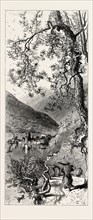 Torno, Lago di Como, Lario, the Italian lakes, Italy, 19th century engraving