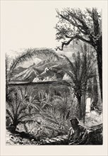 Ventimiglia, from the Cornice Road., Liguria, Italy, 19th century engraving