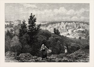 GORGE FRANCHARD, FOREST OF FONTAINEBLEAU, FRANCE, 19th century engraving