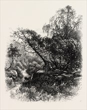 A Forest Path at Franchard, the forest of Fontainebleau, France, 19th century engraving
