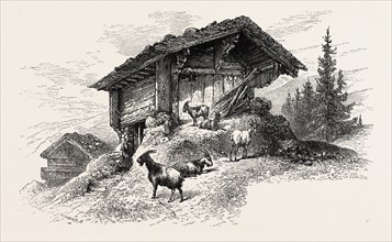 Mountain chalet, Switzerland, 19th century engraving