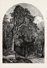 THE DEER GARDEN, STOCKHOLM, Sweden, 19th century engraving