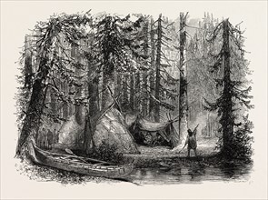 PRIMEVAL FOREST AND INDIAN LODGES, UNITED STATES OF AMERICA, US, USA, 1870s engraving