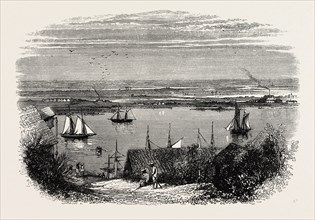 VIEW FROM SAVANNAH, LOOKING OVER RICE-FIELDS, UNITED STATES OF AMERICA, US, USA, 1870s engraving