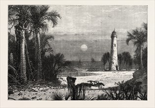 VIEW ON THE COAST OF FLORIDA, UNITED STATES OF AMERICA, US, USA, 1870s engraving
