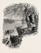 ON THE SAVANNAH RIVER, UNITED STATES OF AMERICA, US, USA, 1870s engraving